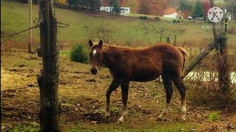 Fall photos in the Country and Mountains