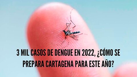 3 mil casos de dengue en 2022, ¿cómo se prepara Cartagena para este año?