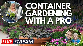 💚 Live with Container Gardening Expert Cindy Funes 😮