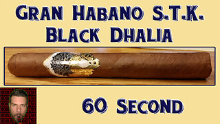 60 SECOND CIGAR REVIEW - Gran Habano S.T.K. Black Dhalia