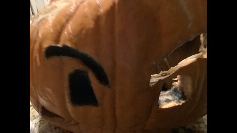 PUMPKIN WENT WRONG