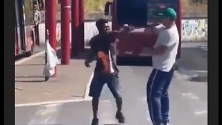 African invader in Italy gets knocked out - HaloRock