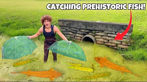 I Caught Prehistoric MONSTER FISH For My AQUARIUM!