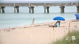 Tourism looking up for Palm Beach County