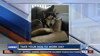 National Bring Your Pet to Work Day