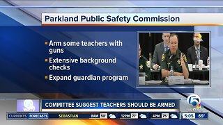 Parkland school massacre panel recommends arming teachers