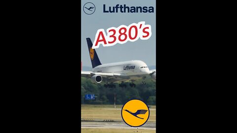 WOW. Lufthansa will bring back their A380's in 2023! 🇩🇪