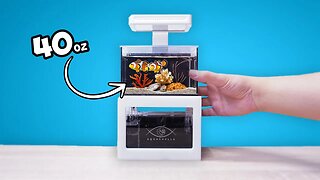 A Nano Reef Tank Challenge: Setting up the Smallest Aquarium Ever?!