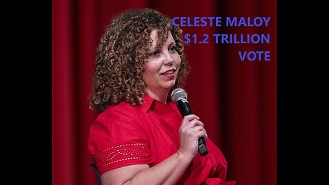 Celeste Maloy discussing vote