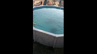 the pool is getting cleaned