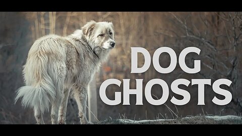 Dog Ghosts by Elliott O'Donnell - Audiobook