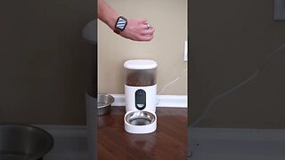 Smart Pet Feeder! 🐶 🐱