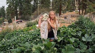 We've Neglected Our Garden! (Harvest Time!)