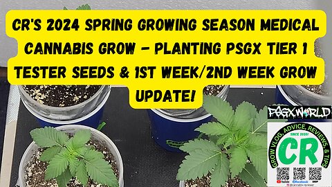 CR's 2024 Spring Growing Season - Planting PSGX Tier 1 Tester Seeds & 1st & 2nd Week Grow Update!