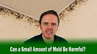 Can a Small Amount of Mold Be Harmful?