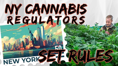 Breaking News: New York's Final Cannabis Regulations Revealed!