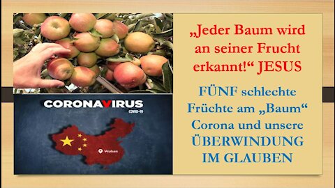 Was ist die biblische Sichtweise zu Corona? FÜNF schlechte Früchte am "Baum" Corona