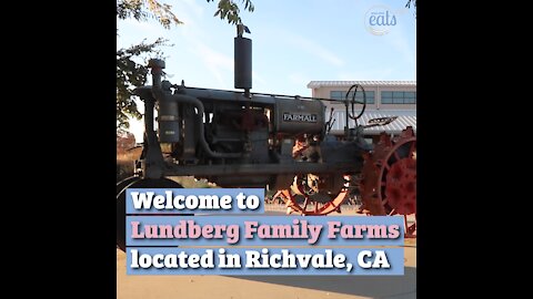 How Rice is Produced, Featuring Lundberg Family Farms