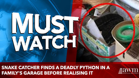 snake catcher finds a deadly python in a family's garage before realising it