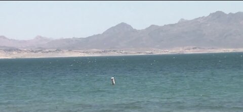Further drop in Lake Mead water level could trigger water shortage declaration