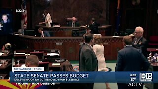 Arizona state senate passes budget