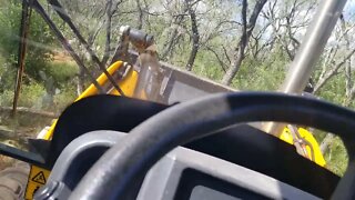 Clearing and cleaning my Land: Breaking Ground and trees 🌳