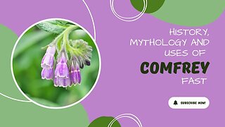 🍃The Fascinating Journey of Comfrey🍃: History, Uses, and More