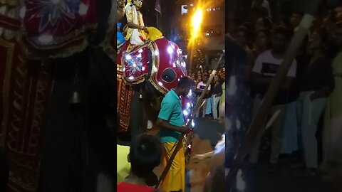 Perahera in Colombo Part 4