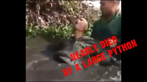 Horrible Moments of A Man Wrapped by Huge Python Snake in A Lake