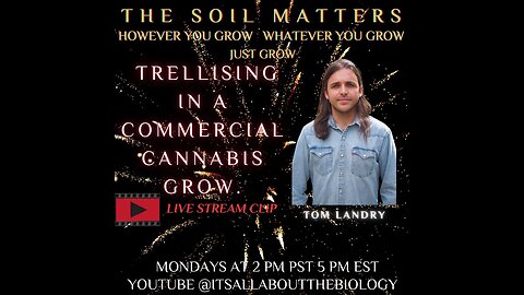 Trellising In A Commercial Cannabis Grow