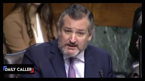 Cruz Grills Judicial Nominee Over Her 'Deeply Concerning' Record