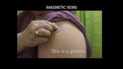 Magnetic Veins