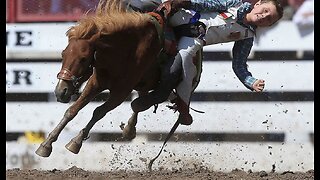 Los Angeles Votes to Ban Rodeos in the City - Because They Have Nothing More Pressing to Do