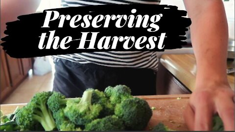 Preserving the Harvest from our Garden