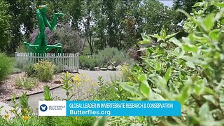 Make a Visit // Butterfly Pavilion