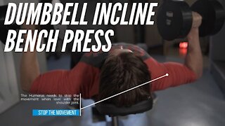 Dumbbell Incline Bench Press