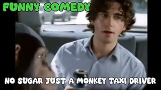 No Sugar just a Monkey taxi driver - Funny Comedy - Laughing Spree Master