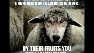 Wolves Among Us