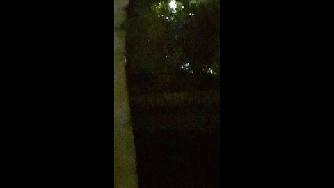 Demonic entity face filmed in yard (zoom in)