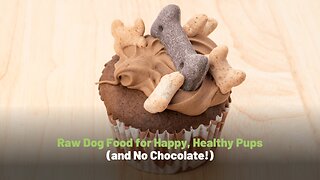 Raw Dog Food for Happy, Healthy Pups (and No Chocolate!)