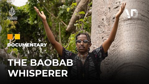 A Kenyan artist celebrates his love of the Baobab trees | Africa Direct Documentary| U.S. NEWS ✅