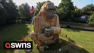 Giant animatronic gorilla sculpture unveiled at Bristol Zoo to announce the opening of new site