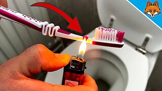 THIS is why you should LIGHT your Toothbrush over your TOILET 💥 (Amazing) 🤯