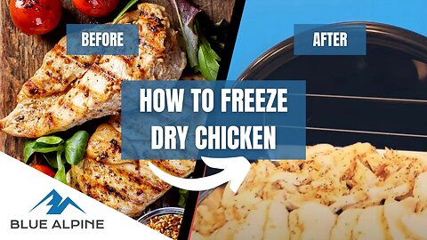 How To Freeze Dry 100 Pounds Of Chicken