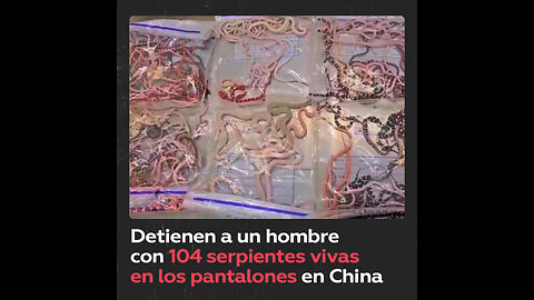 Hombre con 104 serpientes vivas en los pantalones es detenido en China