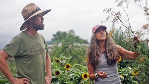 Touring Stacy's Garden: Medicine, Spices, Food and Beauty