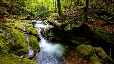 ASMR Forest Oasis | Waterfall Stream Sounds for Soothing Relaxation and Ultimate Stress Relief