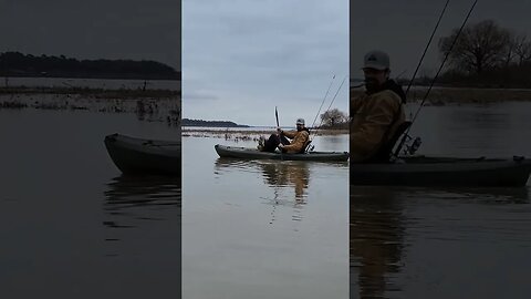 Kayaking on Grapevine Lake