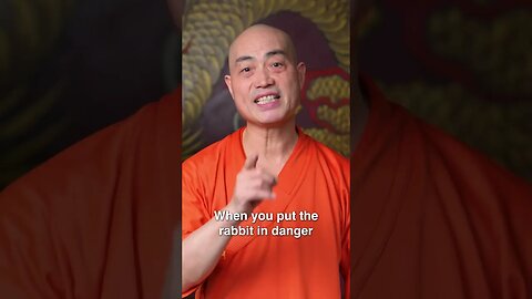 #Shaolin master explains significance of the Year of the Rabbit 2023 #martialarts #kungfu #warrior