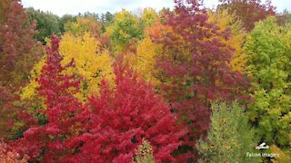Fall Foliage in Moultonboro NH Begins 2020